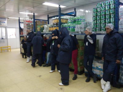 contagem-inventario-congelados